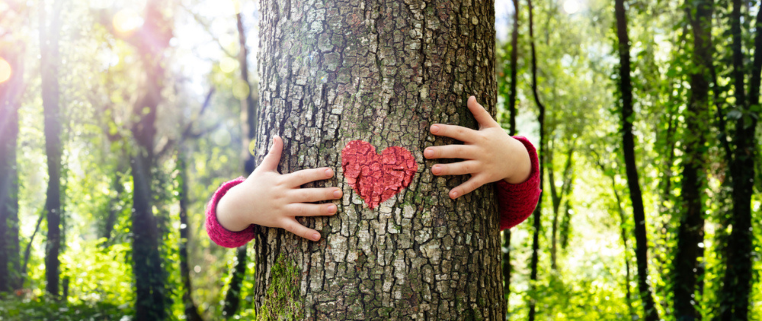Barn holder rundt et tre i en skog. På treet er det et rødt hjerte. 