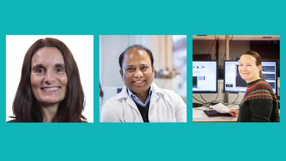 Gro Hege Saltnes Urdal, Dhayalan Velauthapillai og Gloria Stenfelt.