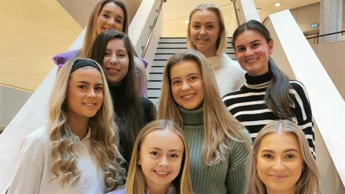 Ergoterapistudentar på høgskulen har i vår jobba med eit innovasjonsprosjekt. Desse studentane valte å undersøkje menneskerettane til personar med nedsatt funksjonsevne. Øvst  frå venstre: Sunniva Osland Hellesen Heimset, Nora Emilie Simonsen. I midten: Eline Friis Skogstad, Maria Johanne Nesheim og Kaja Emilie Bredesen. Fremst frå venstre: Vilde Roaldsøy Østbø, Linn Thoresen Rasmussen, Elen Roaldsen-Skadberg.  