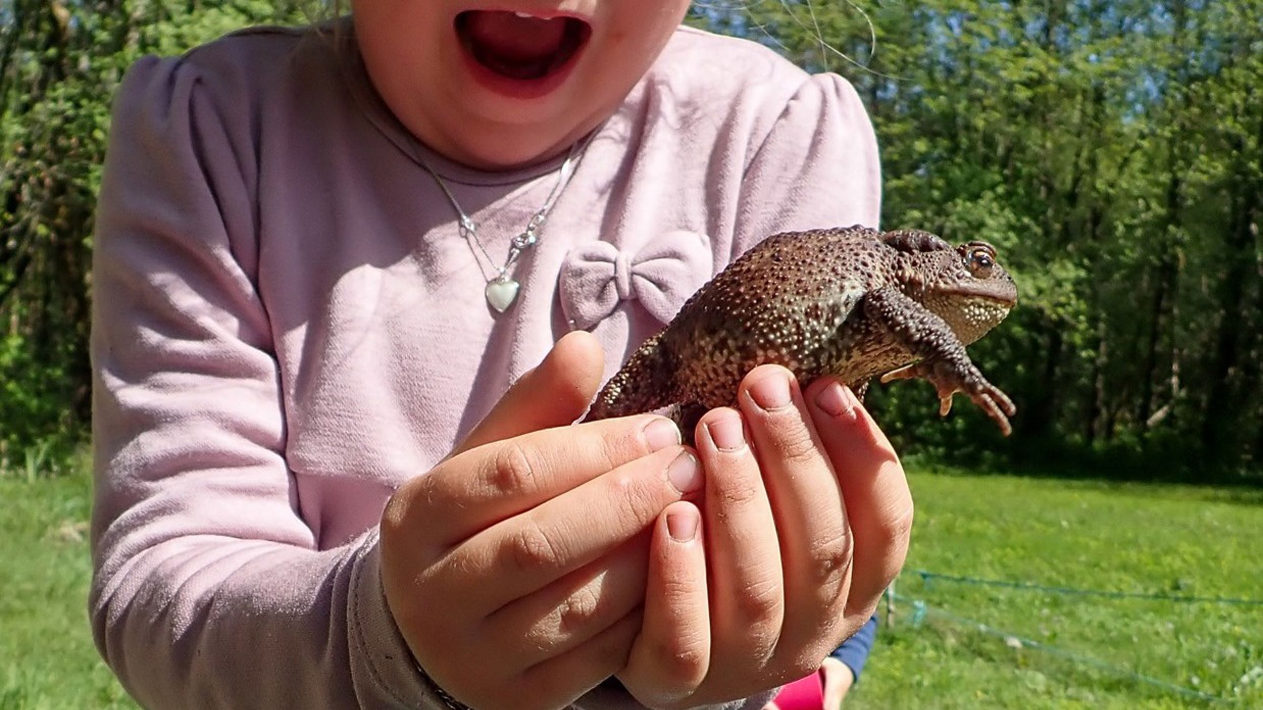 A child holding a toad.