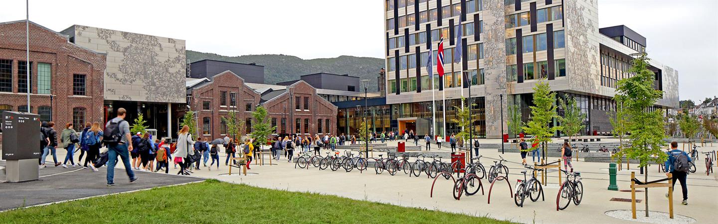 Campus in Bergen