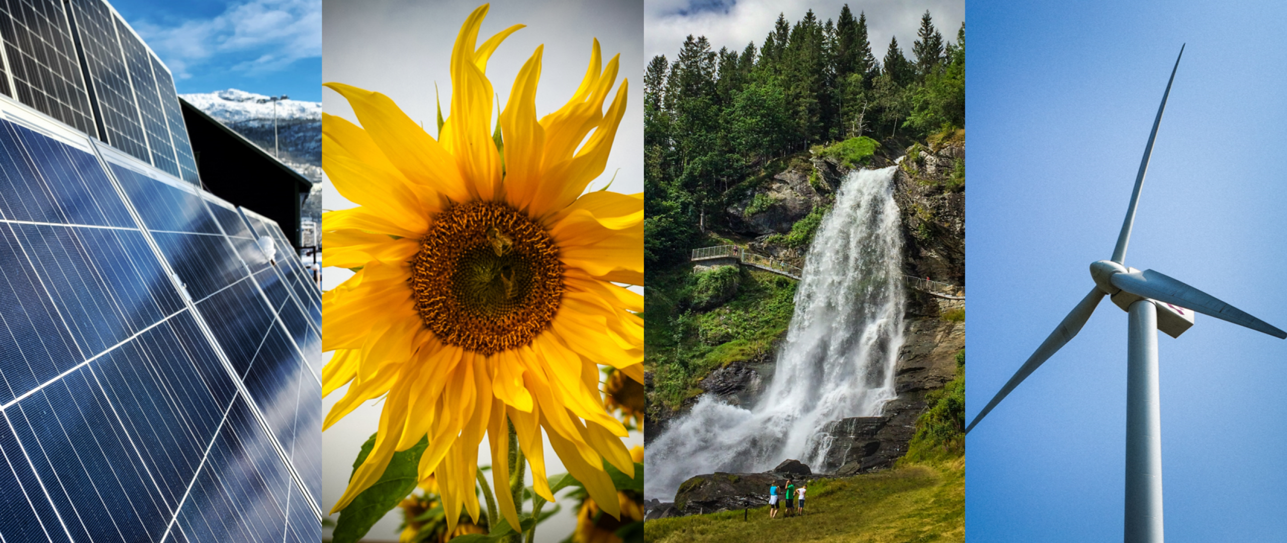 A photo collage of solar panels, a sunflower, a waterfall and a windmill.