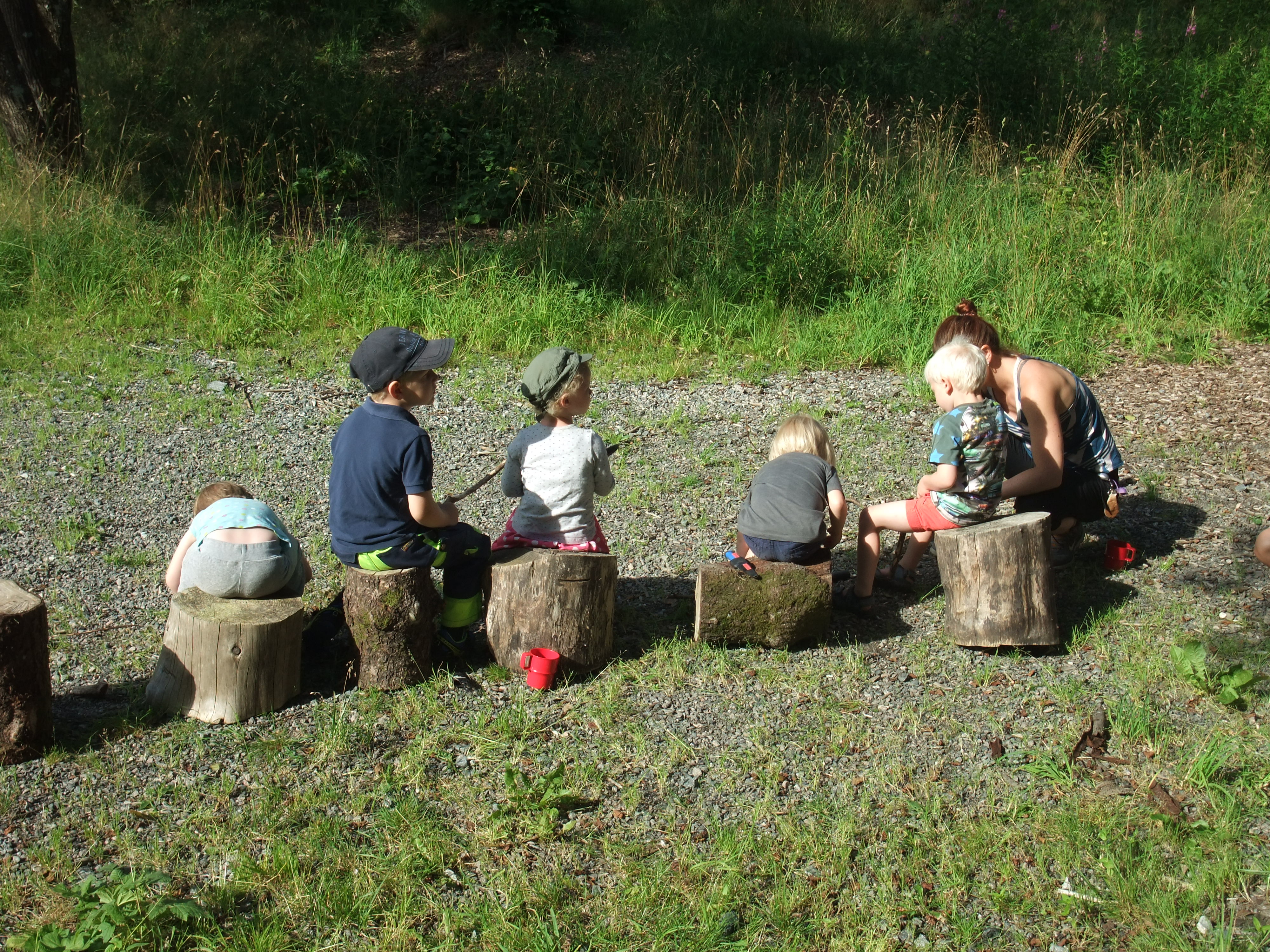 children sitting on tree stumps