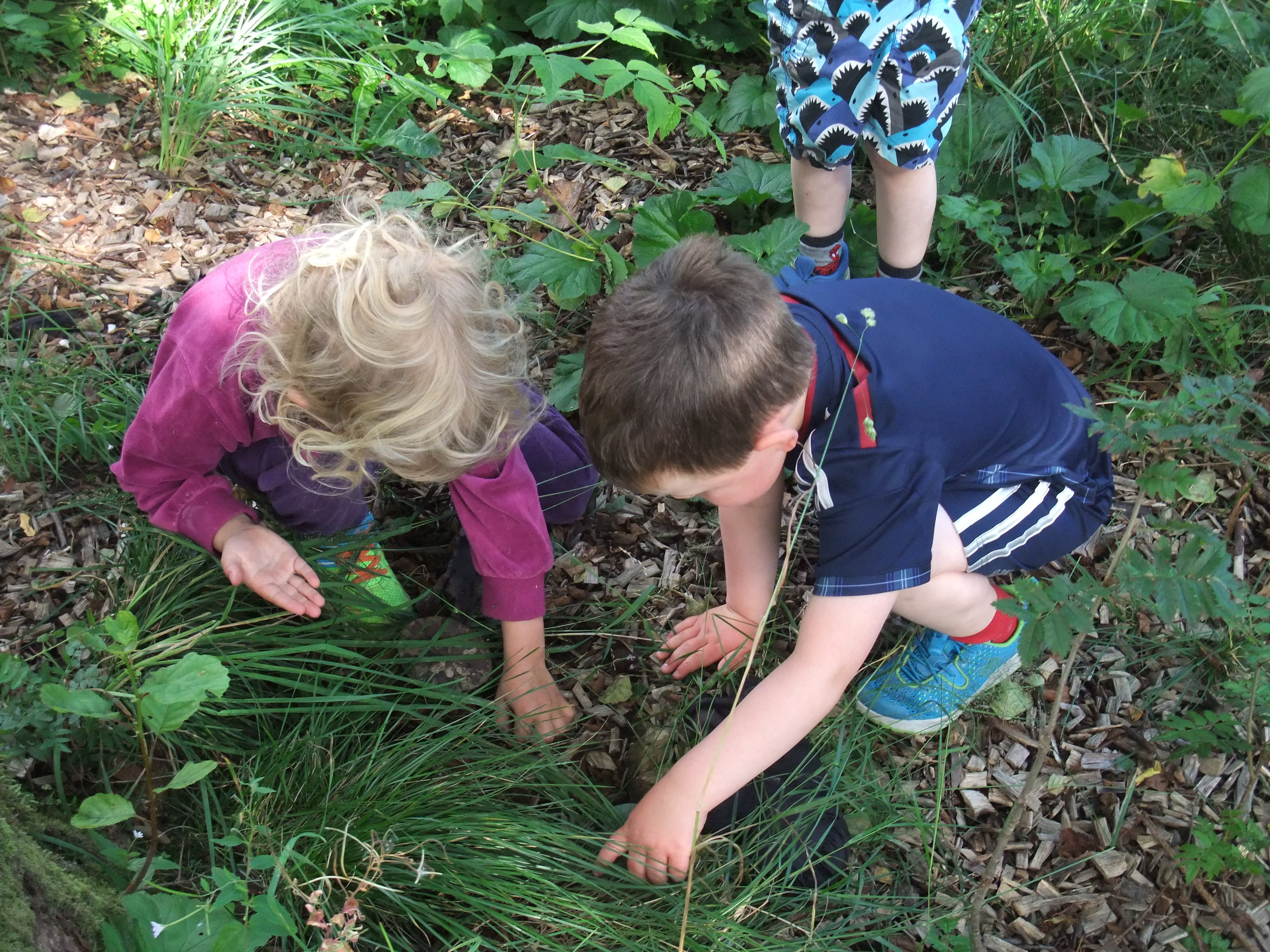 Children exploing nature