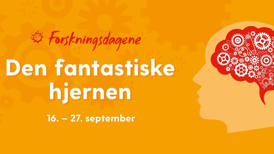 Plakat for Forskningsdagene 2020: Den fantastiske hjernen