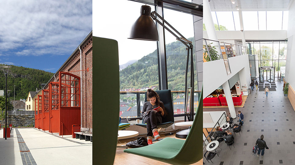 Bildecollage av 3 høgskolebygg