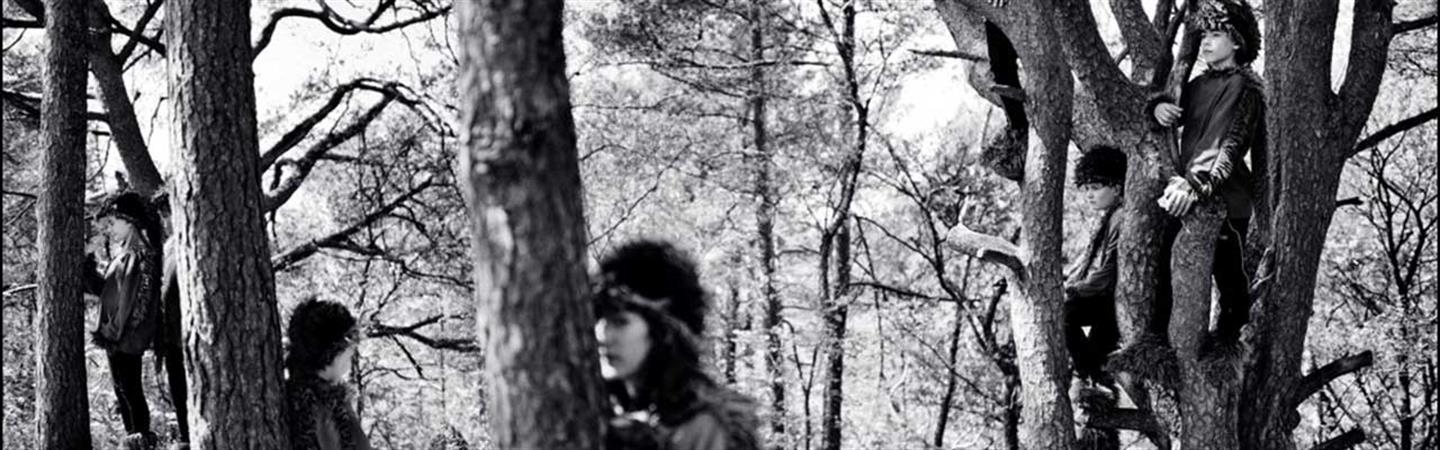 Children climb trees.