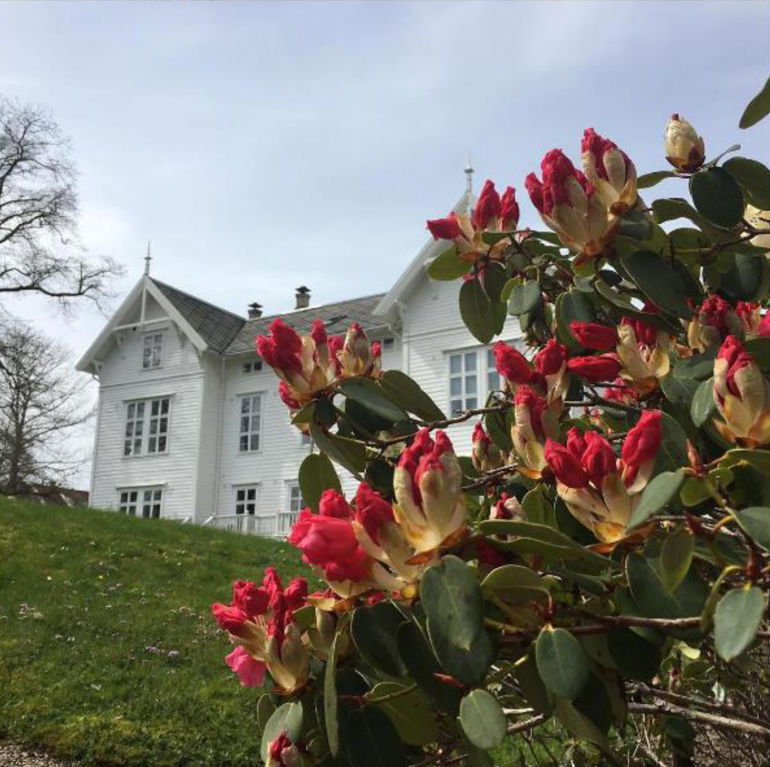 Bilete av raude blomar, med eit kvitt bygg i bakgrunnen.